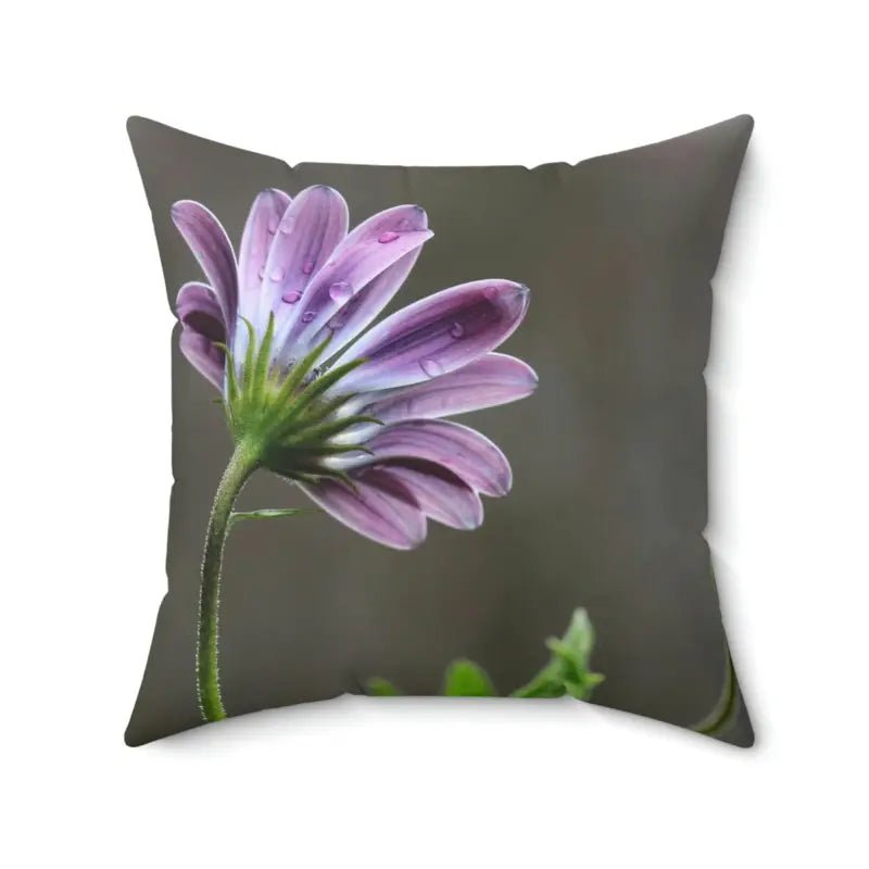 Decorative Pillows for Living Room MakeoverPurple African Daisy Pillow: Revamp your Space with Style