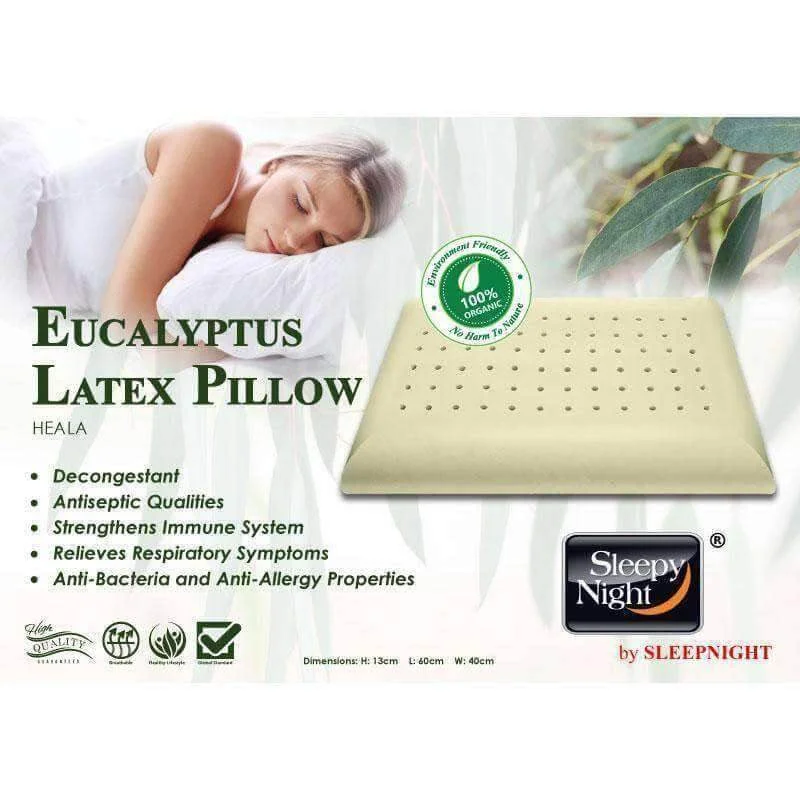 Plush Pillows for a Cozy BedSleepy Night Eucalyptus Organic Natural Latex Pillow