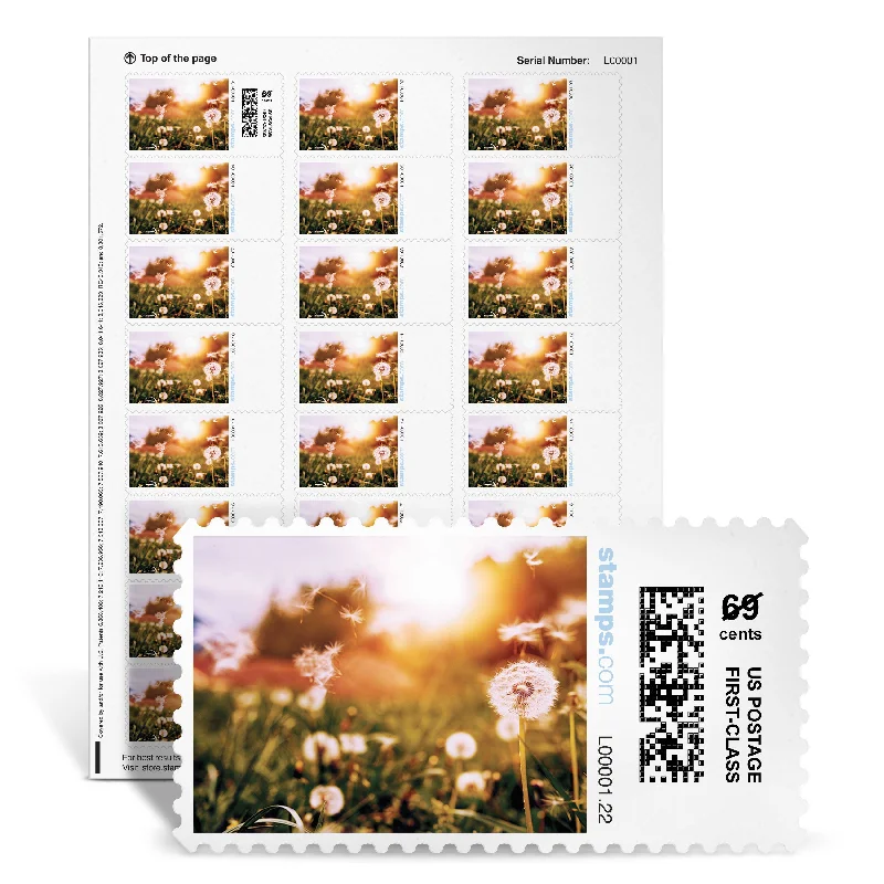 Polyester - Cotton Blend Sheets for Durability and ComfortDandelion Wishes NetStamps<sup>®</sup>