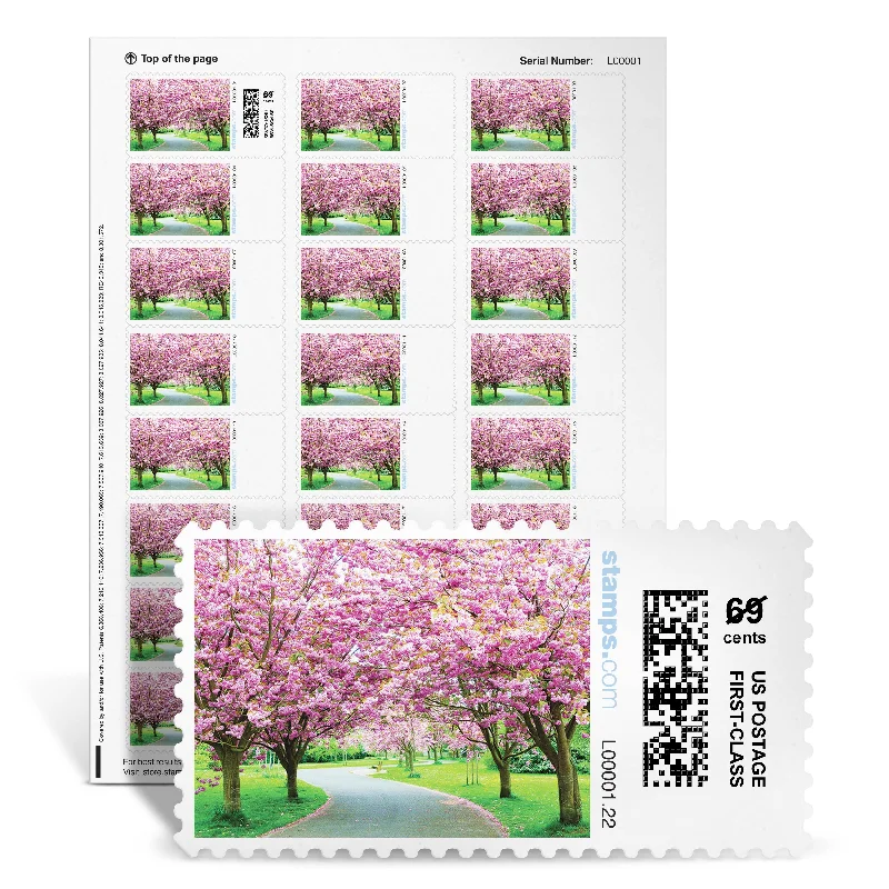 Jersey - Knit Sheets for a Comfortable and Casual BedCherry Blossom NetStamps<sup>®</sup>