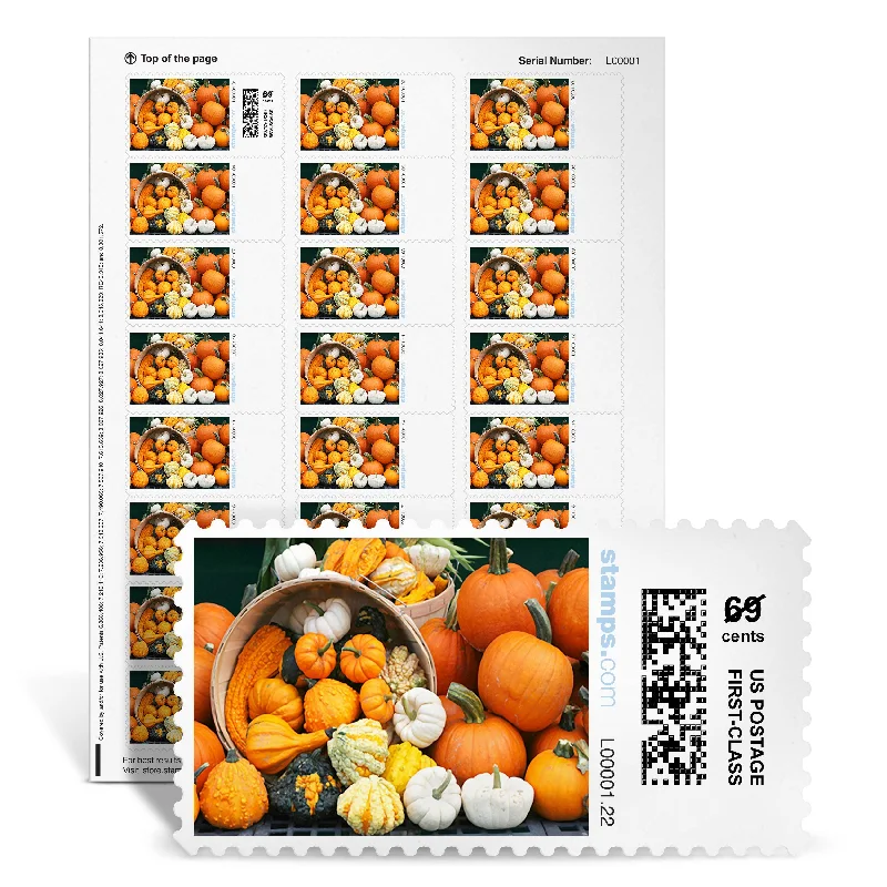 Anti - Pill Microfiber Sheets for a Smooth AppearancePumpkins Galore NetStamps<sup>®</sup>