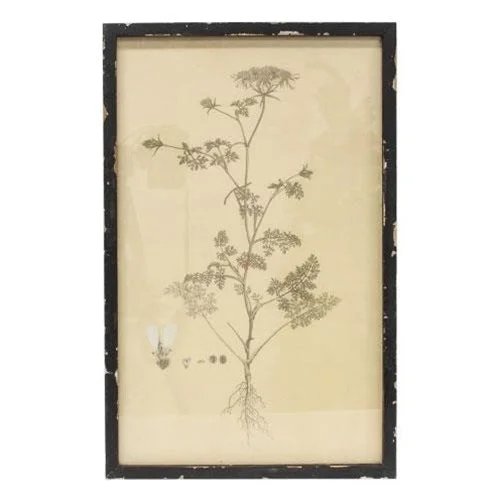 Headly Garden Botanical Print # 2